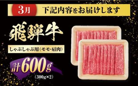 【4回定期便】 飛騨牛 モモ・肩肉 リブロースステーキ 計2.3kg / 白川町 / 浅井商店[AWBJ010]