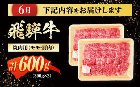 【4回定期便】 飛騨牛 モモ・肩肉 リブロースステーキ 計2.3kg / 白川町 / 浅井商店[AWBJ010]