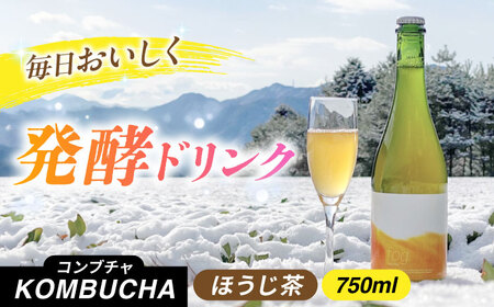 ほうじ茶コンブチャ fog-hojicha 750ml オリジナルコンブチャ お茶 発酵飲料 腸活 白川町 / 新田製茶[AWBK007]