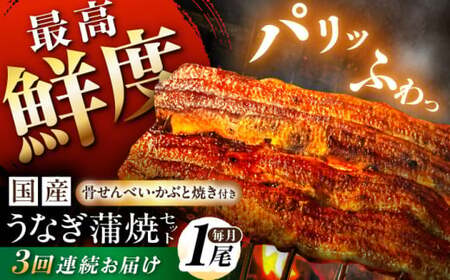 【3回定期便】 国産うなぎ 蒲焼 1尾 多幸八[AWBL007] うなぎ