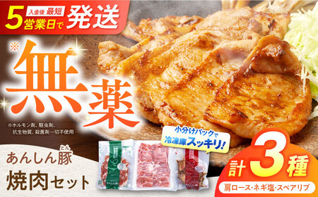 豚肉 焼肉セット 計1kg 味付き豚肉 / 藤井ファーム  [AWAF005]