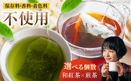 【選べるティーバッグ】　「煎茶」「和紅茶」 計5袋セット お茶 紅茶 国産 白川町 / 菊之園[AWAG007]