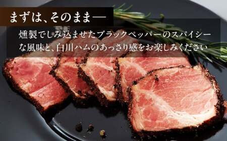 白川ハム パストラミハム 3本セット 白川町 / 白川町農業開発[AWAH006]