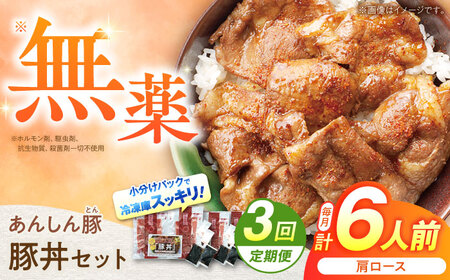 【3回定期便】豚丼セット(肩ロース120g×2人前) ×3 豚肉 白川町 / 藤井ファーム[AWAF013]