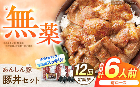 【12回定期便】豚丼セット(肩ロース120g×2人前) ×3 豚肉 白川町 / 藤井ファーム[AWAF015]