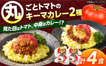 赤いとまて箱（丸ごとトマトのキーマカレー２食／チーズinキーマカレー２食）　【buyer's room2023 経済産業大臣賞受賞！】 カレー トマト 冷凍 白川町 / 一力屋[AWAE005]