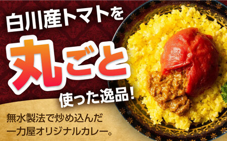 赤いとまて箱（丸ごとトマトのキーマカレー２食／チーズinキーマカレー２食）　【buyer's room2023 経済産業大臣賞受賞！】 カレー トマト 冷凍 白川町 / 一力屋[AWAE005]