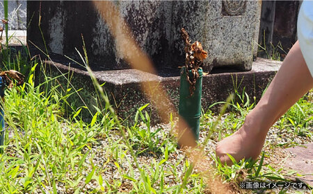 【実家サポート】 お墓掃除 ２回 白川町 / 一般社団法人白川町シルバー人材センター 実家見守り 代行サービス 代行 お墓掃除 お盆[AWCA004]