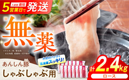 ロースしゃぶしゃぶ用 2.4kg（200g×12）豚肉 白川町 / 藤井ファーム[AWAF059]