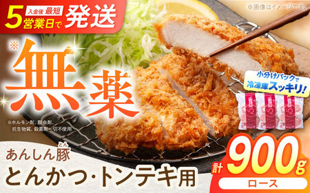 とんかつ ・ トンテキ用 ロース 900g（3枚入×3袋） 豚肉 白川町 / 藤井ファーム[AWAF064]