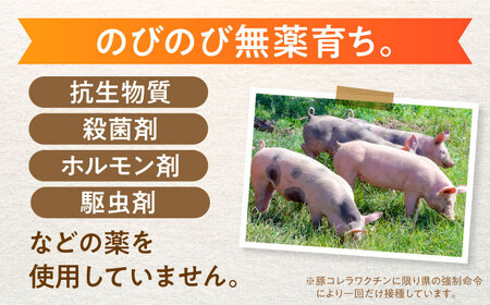 豚肉 リブロース とんかつ用計900g 藤井ファーム[AWAF067] 豚肉