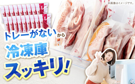 豚肉 リブロース とんかつ・トンテキ用 計2.7kg 白川町 / 藤井ファーム[AWAF069]