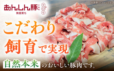 《バラ凍結》 豚肉 モモ・カタ 小間切れ 1.4kg （280g×5袋）白川町 / 藤井ファーム[AWAF028]