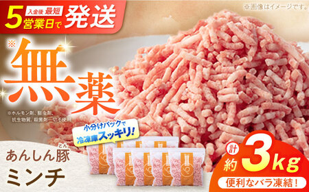 《バラ凍結》 ミンチ 約 3kg （380g×8袋） 豚肉 肉 小分け 離乳食 冷凍 白川町 / 藤井ファーム[AWAF034]