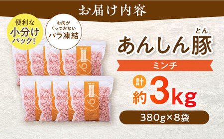《バラ凍結》 ミンチ 約 3kg （380g×8袋） 豚肉 肉 小分け 離乳食 冷凍 白川町 / 藤井ファーム[AWAF034]
