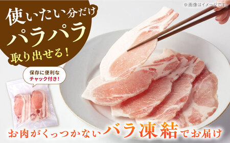 《バラ凍結》豚肉 ローススライス 1kg （500g×2袋） 白川町 / 藤井ファーム[AWAF049]
