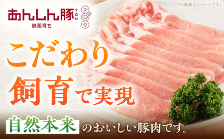 《バラ凍結》豚肉 ローススライス 1kg （500g×2袋） 白川町 / 藤井ファーム[AWAF049]