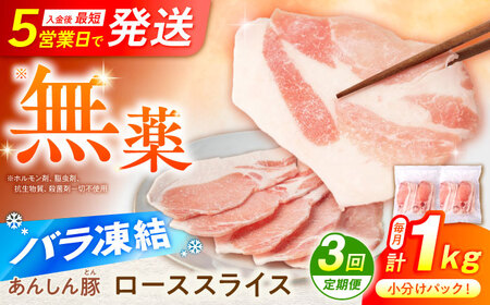 【3回定期便】《バラ凍結》豚肉 ローススライス 1kg （500g×2袋） 白川町 / 藤井ファーム[AWAF050]