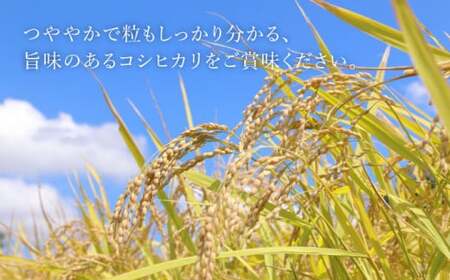 米【R7年度産】新米 コシヒカリ 5kg 白川町 / S.K.C[AWAX001]