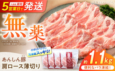《バラ凍結》肩ロース薄切り 1.1kg 豚肉 白川町 / 藤井ファーム[AWAF045]