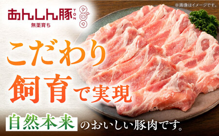 【3回定期便】《バラ凍結》肩ロース薄切り 1.1kg 豚肉 白川町 / 藤井ファーム[AWAF046]