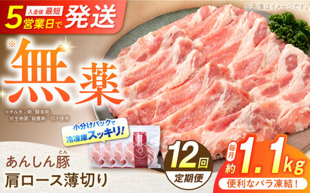 【12回定期便】《バラ凍結》肩ロース薄切り 1.1kg 豚肉 白川町 / 藤井ファーム[AWAF048]