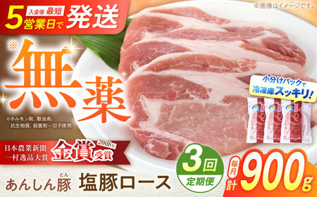 【3回定期便】《金賞受賞》 塩豚ロース 900g 豚肉 白川町 / 藤井ファーム[AWAF054]