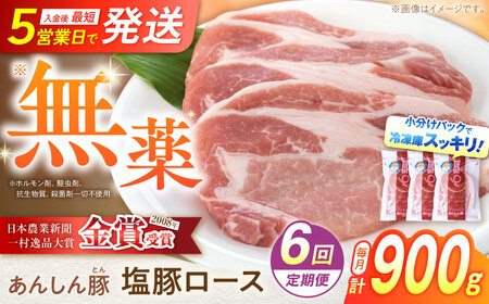 【6回定期便】《金賞受賞》 塩豚ロース 900g 豚肉 白川町 / 藤井ファーム[AWAF055]