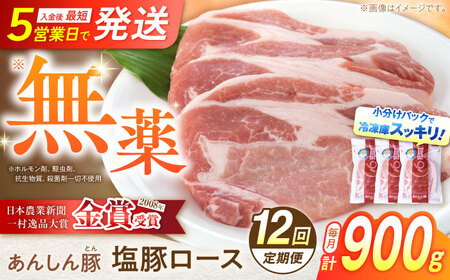 【12回定期便】《金賞受賞》 塩豚ロース 900g 豚肉 白川町 / 藤井ファーム[AWAF056]