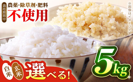 お米 令和7年産 米 5kg 黒川つばくろ農園[AWCB001]