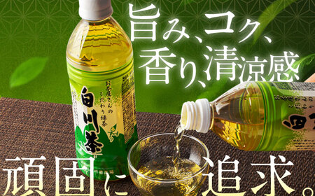 【6回定期便】 白川茶ペットボトル 500ml×24本入 緑茶 お茶 ペットボトル 500ml ケース 白川町 / 白川園本舗[AWAT007]
