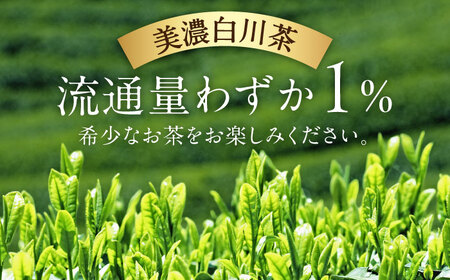 【6回定期便】 白川茶ペットボトル 500ml×24本入 緑茶 お茶 ペットボトル 500ml ケース 白川町 / 白川園本舗[AWAT007]