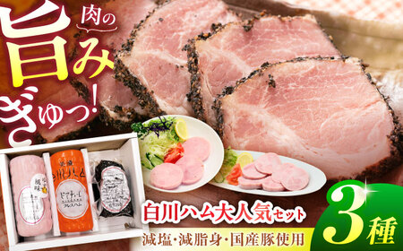【お歳暮対象】白川ハム 人気！3種セット ハム詰め合わせ / 白川町農業開発[AWAH015]