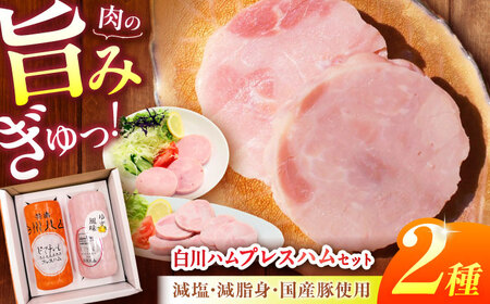 【お歳暮対象】白川ハム 2種セット ハム詰め合わせ / 白川町農業開発[AWAH016]