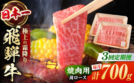 【3回定期便】飛騨牛 焼肉用肩ロース 700g 白川町 / 浅井商店[AWBJ015] 飛騨牛