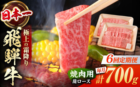 【6回定期便】飛騨牛 焼肉用肩ロース 700g 白川町 / 浅井商店[AWBJ016] 飛騨牛