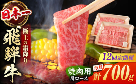 【12回定期便】飛騨牛 焼肉用肩ロース 700g 白川町 / 浅井商店[AWBJ017] 飛騨牛