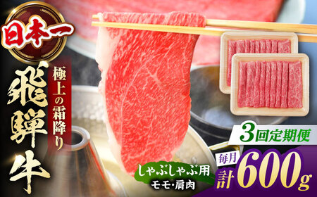 【3回定期便】飛騨牛 牛しゃぶ用赤身 600g 白川町 / 浅井商店[AWBJ018] 飛騨牛