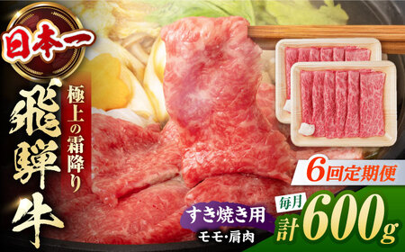 【6回定期便】飛騨牛 すき焼き用赤身 600g 白川町 / 浅井商店[AWBJ025] 飛騨牛