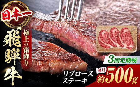 【3回定期便】飛騨牛 ステーキ用計500g 白川町 / 浅井商店[AWBJ030] 飛騨牛