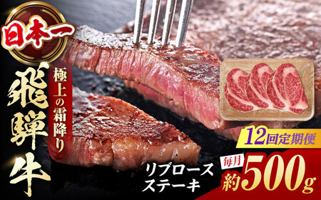 【12回定期便】飛騨牛 ステーキ用計500g 白川町 / 浅井商店[AWBJ032] 飛騨牛