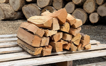 乾燥薪 広葉樹ミックス 一箱 約25kg 白川町 / 安江板金 / Yasue Firewood[AWCD003]