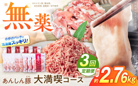 【3回定期便】あんしん豚 豚肉大満喫コース 計2.76kg 白川町 / 藤井ファーム[AWAF072]