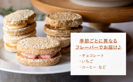 洋菓子ダックワーズ おまかせ10個セット 洋菓子 白川町 / hokimoto[AWCF008]