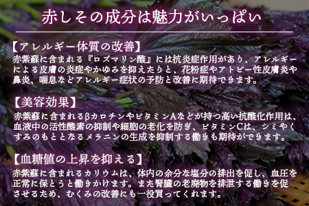 東白川村産赤しそ使用！ しそしそばなし 4本 720ml しそジュース 紫蘇 赤しそ 紫蘇ジュース ジュース  11000円