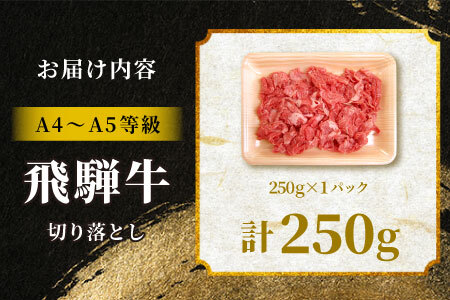 【最短発送】 飛騨牛 切り落とし 250g A5 A4 国産 牛 黒毛和牛 和牛 牛肉 薄切り 訳あり 牛丼 すき焼き しゃぶしゃぶ 肉のひぐち