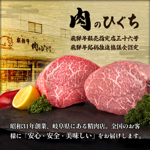 飛騨牛 BBQセット (カルビ300g＋もも・カタ焼肉用400g) 計700g A5 A4 肉のひぐち 20000円