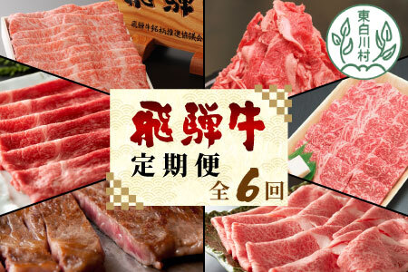 定期便 6回 飛騨牛 ロース 肩ロース カタ モモ ステーキ ロースステーキ サーロインステーキ すき焼き しゃぶしゃぶ 肉 牛 牛肉 和牛 養老ミート