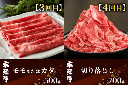 定期便 6回 飛騨牛 ロース 肩ロース カタ モモ ステーキ ロースステーキ サーロインステーキ すき焼き しゃぶしゃぶ 肉 牛 牛肉 和牛 養老ミート