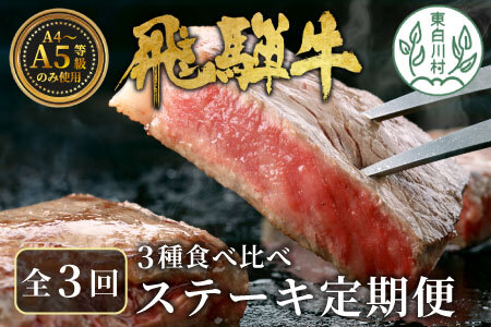 飛騨牛 ステーキ定期便 全3回 計約1.5kg A5 A4 ステーキソース リブロースステーキ ももステーキ サーロインステーキ リブロース モモ サーロイン ステーキ 牛 冷凍 和牛 牛肉 にく お肉 肉 東白川村 岐阜 飛騨 霜降り 赤身 肉のひぐち